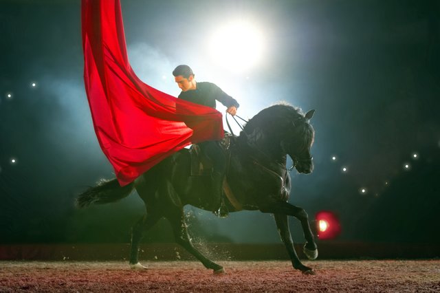 Die Show gastiert am 23. und 24. Januar 2016 in Nürnberg. | Foto: © APASSIONATA