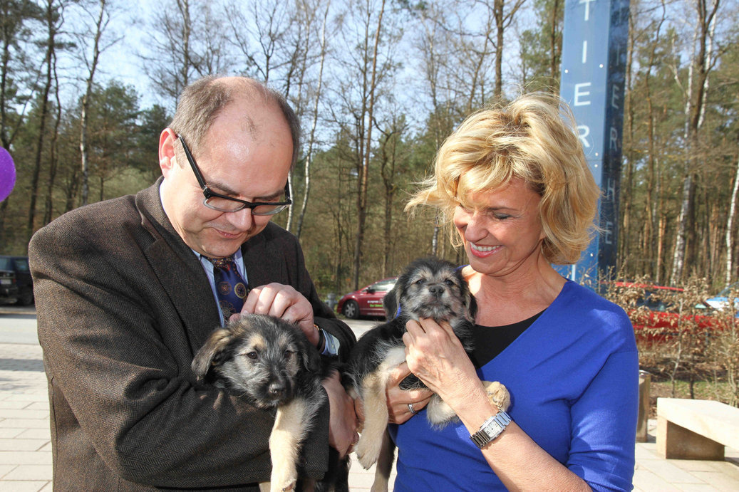 Der Bundesminister für Ernährung und Landwirtschaft Christian Schmidt und Bundestagsabgeordnete Dagmar G. Wöhrl bei ihrem Besuch im Tierheim Nürnberg im März 2014 zum Thema illegale Welpentransporte. Die beiden Politiker wurden von den Welpen (Schnauzer-Schäferhund-Mix) Meggie (mit Minister Schmidt) und Minou (mit MdB Wöhrl) begrüßt.