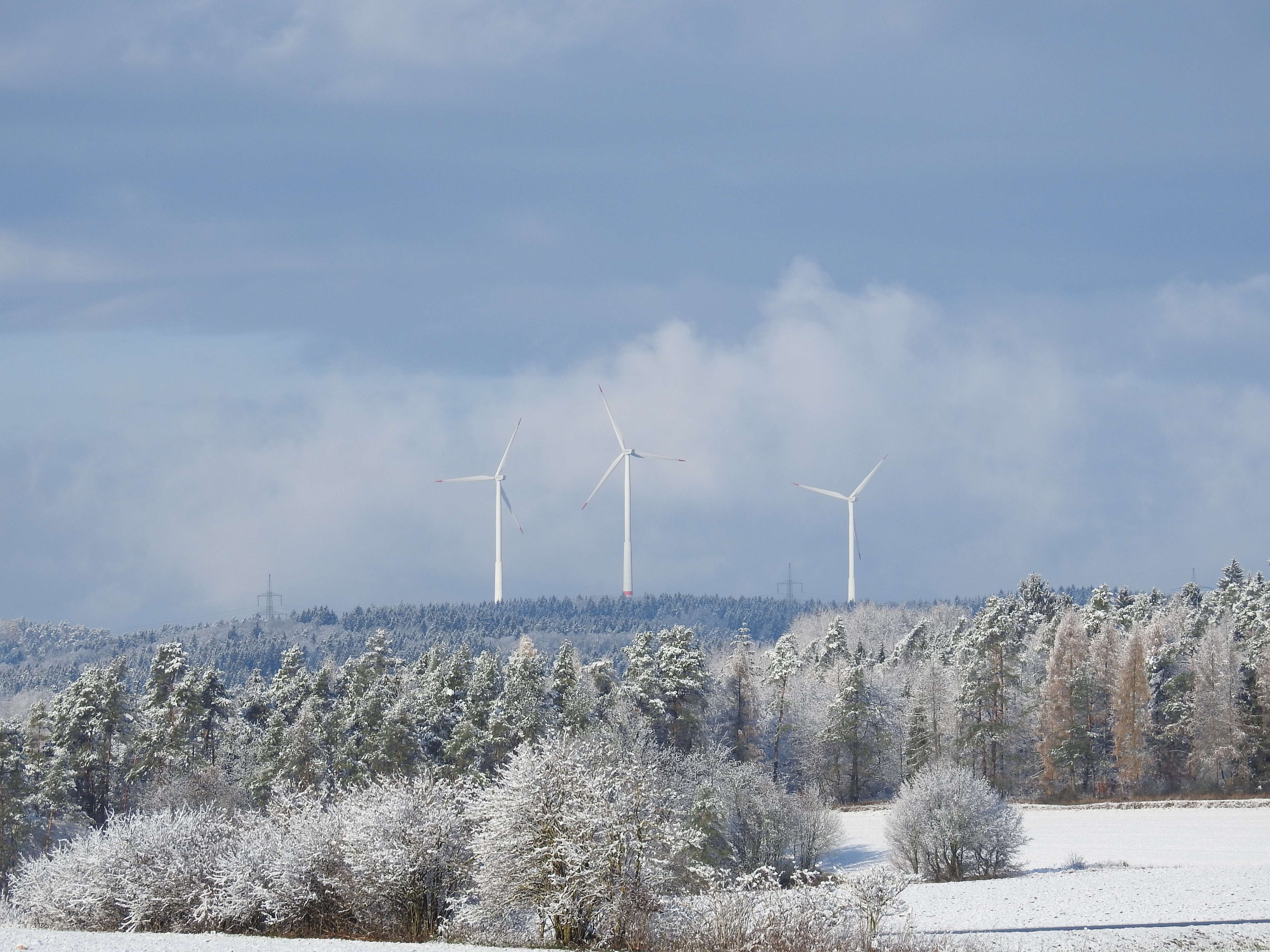 Die Idylle trügt: Im Bild einige bereits bestehende Windräder von Hohenpölz aus gesehen. Um einen neuen Windpark in Brunn - circa 1.162 Meter von Hohenpölz entfernt - gibt es jetzt erneut Streit.
