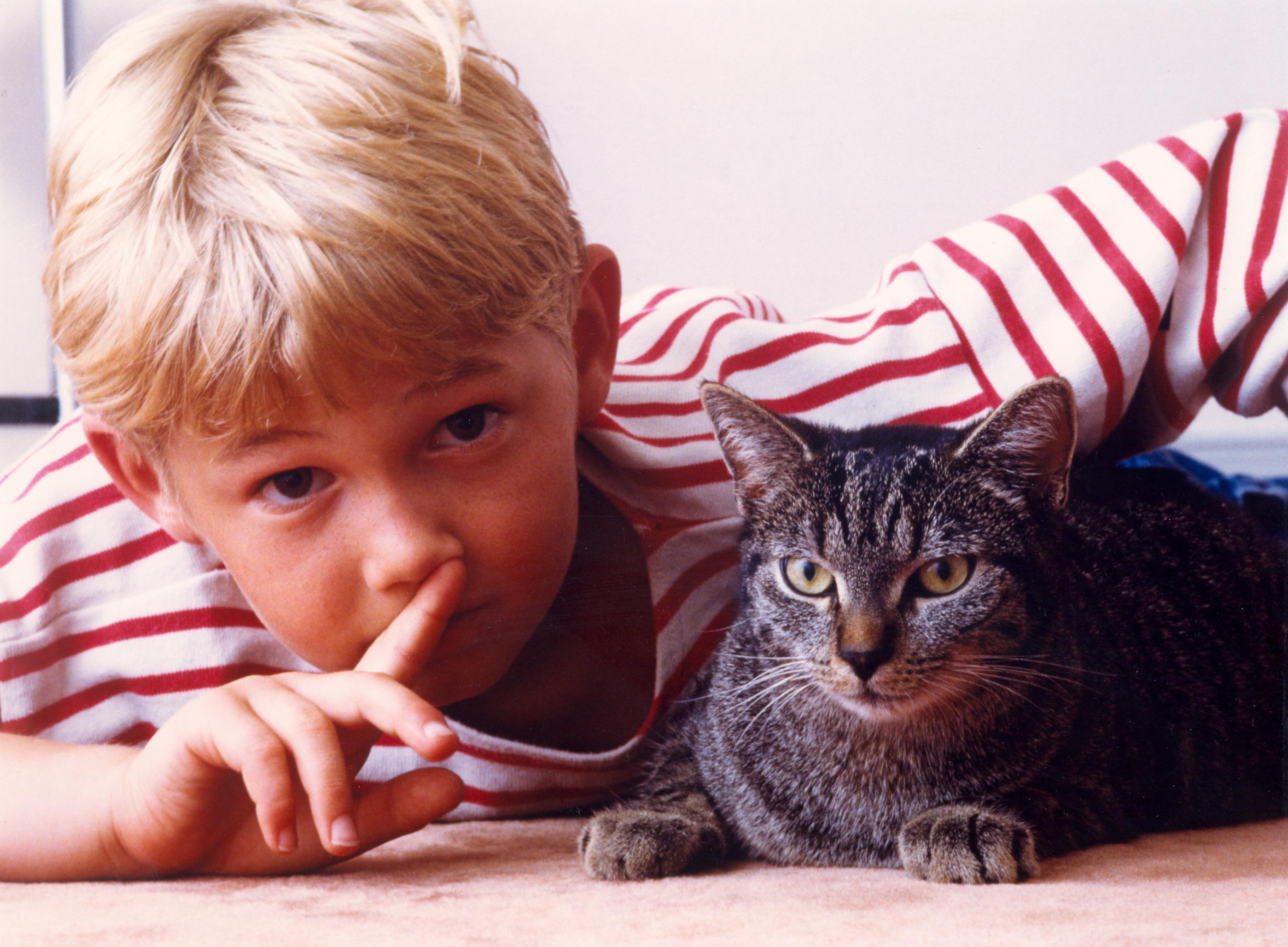Wenn das Kind die Signale der Katze beachtet, können beide gute Freunde werden.