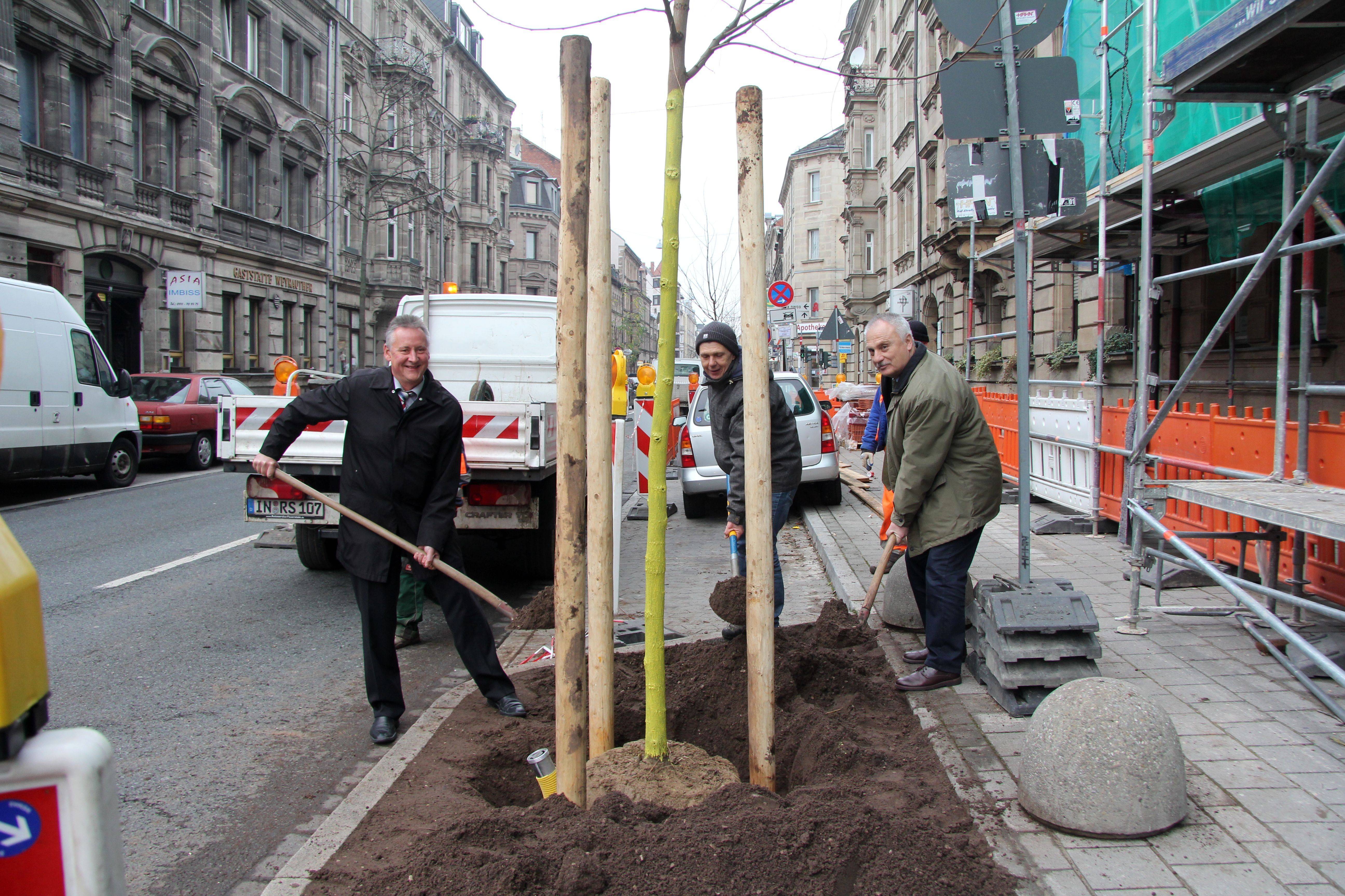 Oberbürgermeister Thomas Jung, Detlev Post und Baureferent Joachim Krauße pflanzen gemeinsam eine junge Robinie in der Nürnberger Straße.