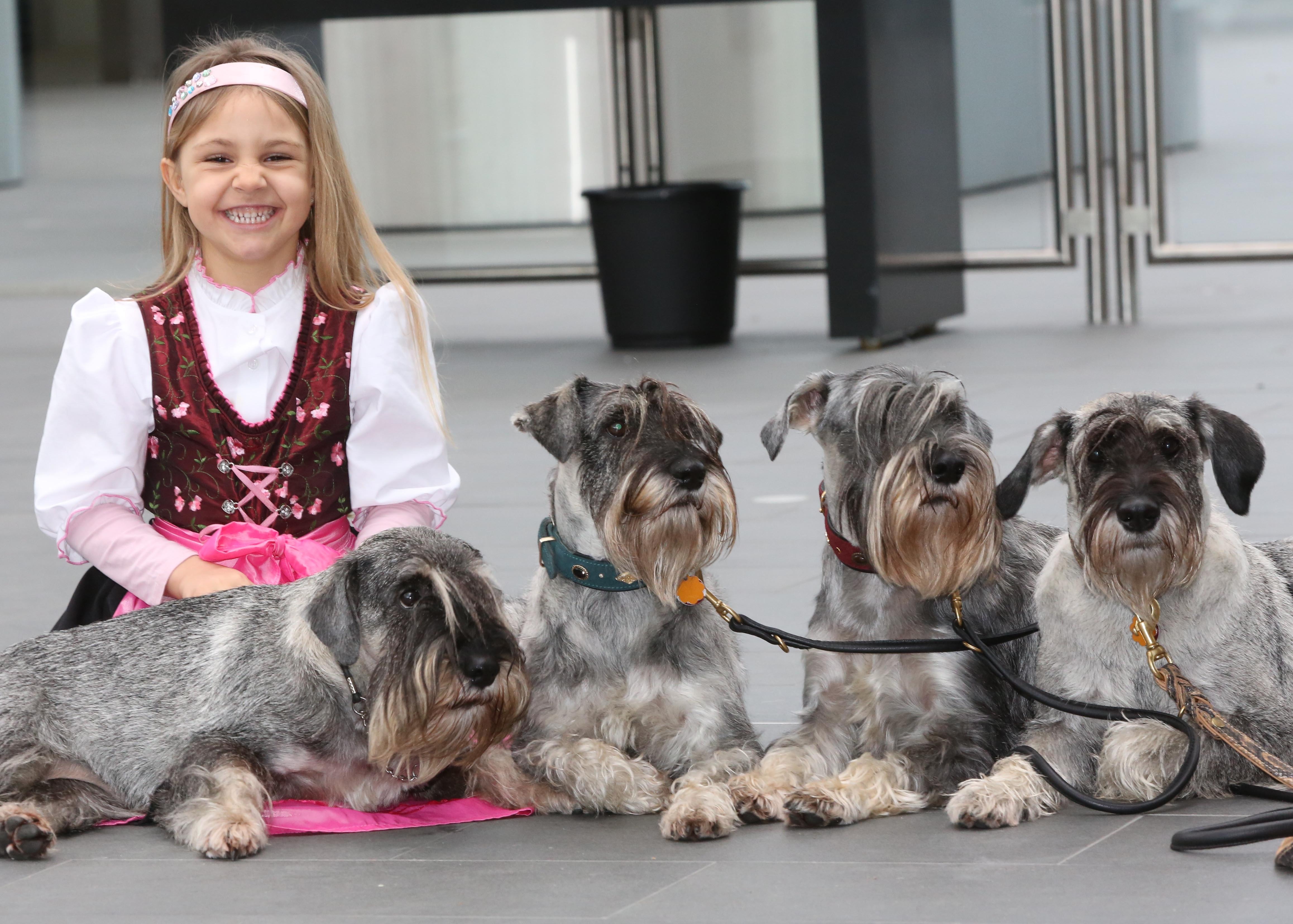 Seit immerhin über 40 Jahren gibt es die Internationale Rassehunde-Ausstellung CACIB in Nürnberg. Auch 2016 können Besucher wieder etwa 3.500 Rassehunde aus ganz Europa bestaunen.