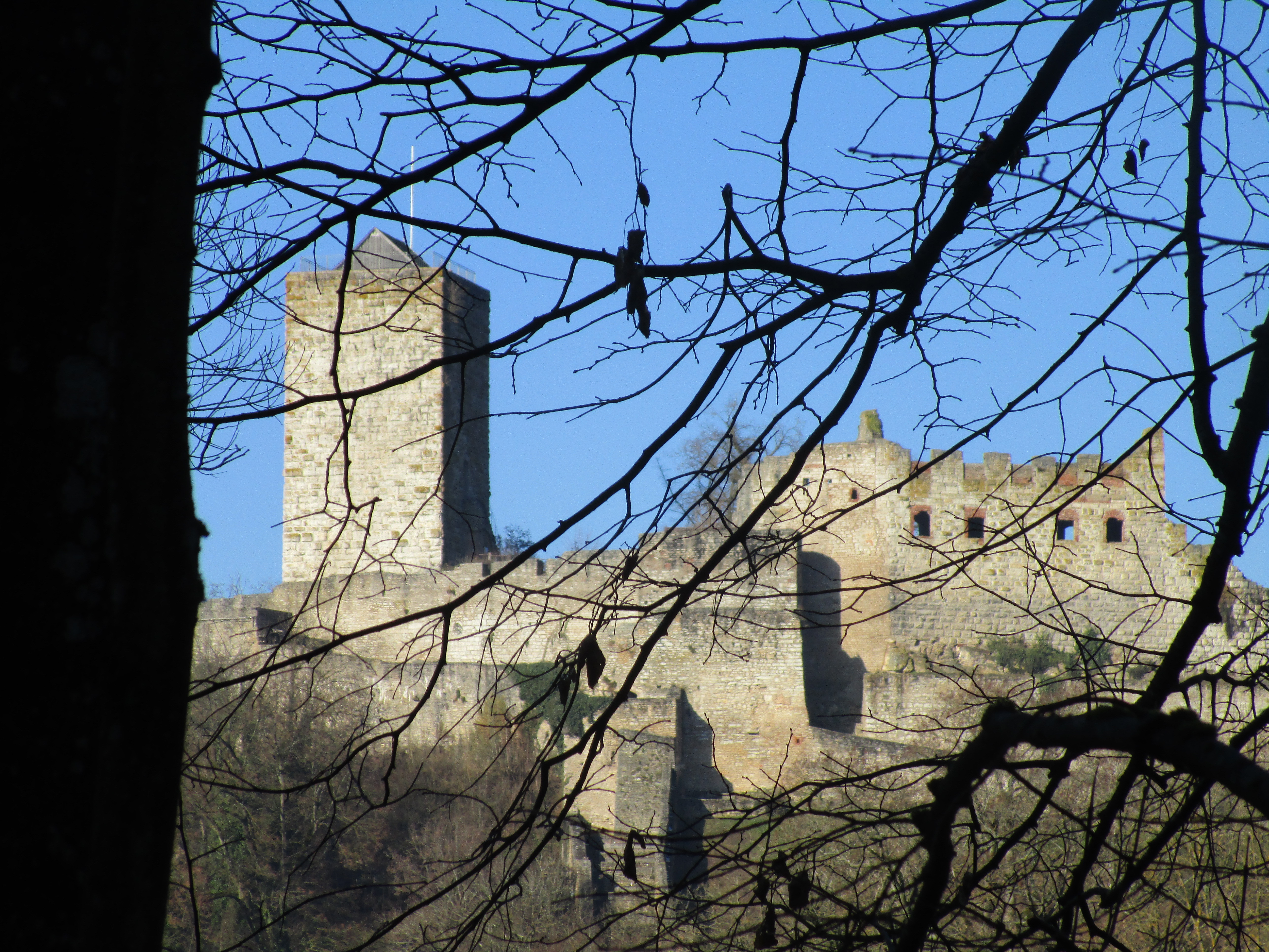 Burg Pappenheim - vom Wanderweg aus gesehen