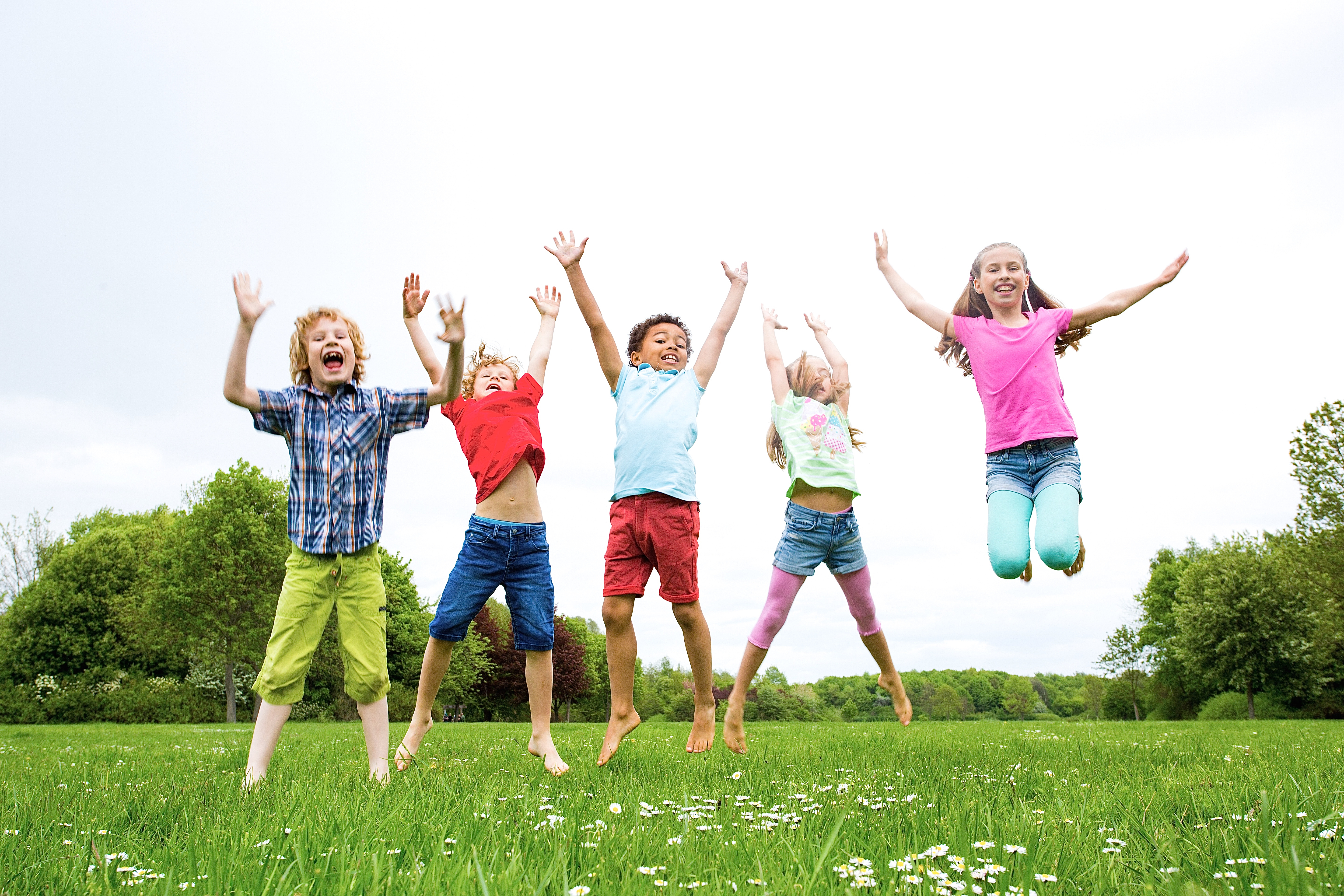 Symbolfoto: © drubig-photo/Fotolia.com