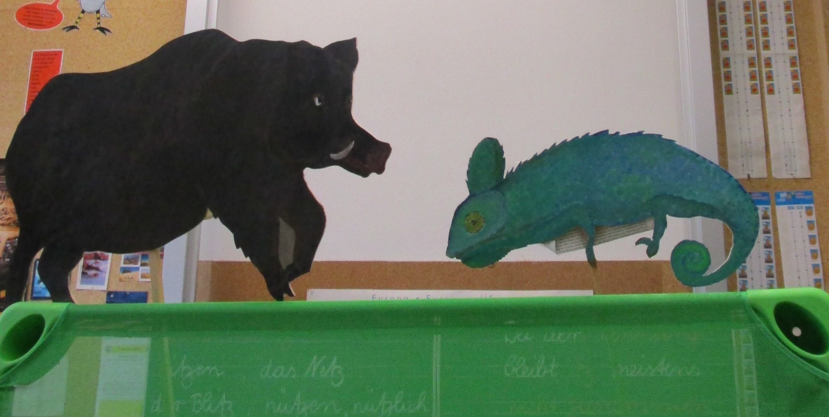 Wettlauf von Wildschwein und Chamäleon