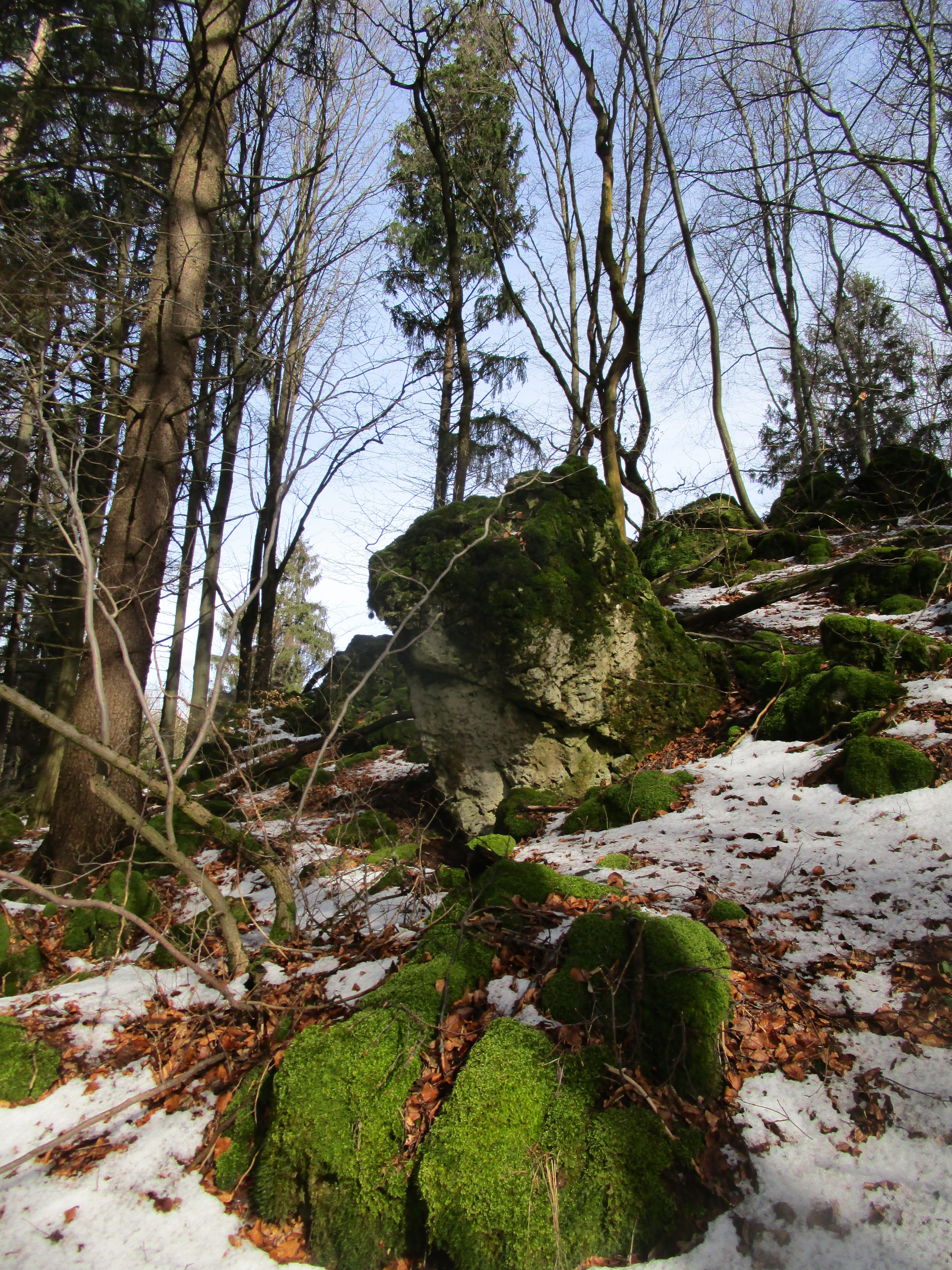 Altes Schloss Kleedorf
