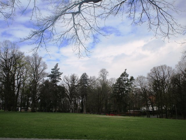 Auf dieser Wiese findet das Bärenbrunnenfest statt