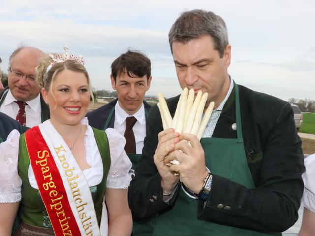Frischer geht's nicht. Dr. Markus Söder schnuppert am fränkischen Spargel - gut, gell? | Foto: bayernpress