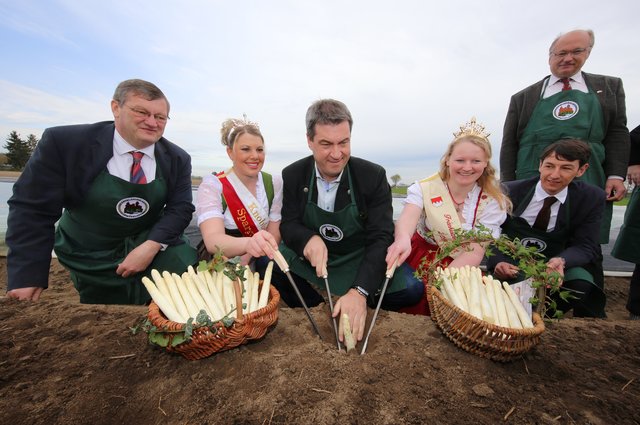 Eröffnung der Spargel- und Gemüsesaison im Knoblauchsland. | Foto: bayernpress