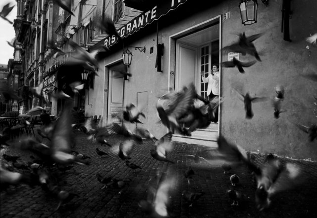 Foto: © Günter Distler