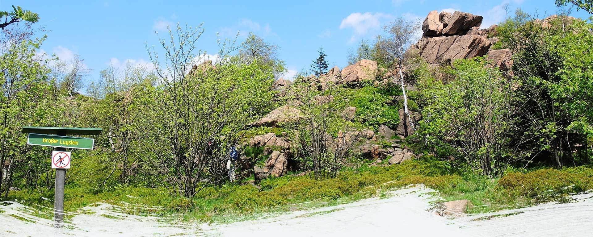 Tolle Wanderwege am Großen Lugstein: 14 Achttausender bezwingen im Osterzgebirge.