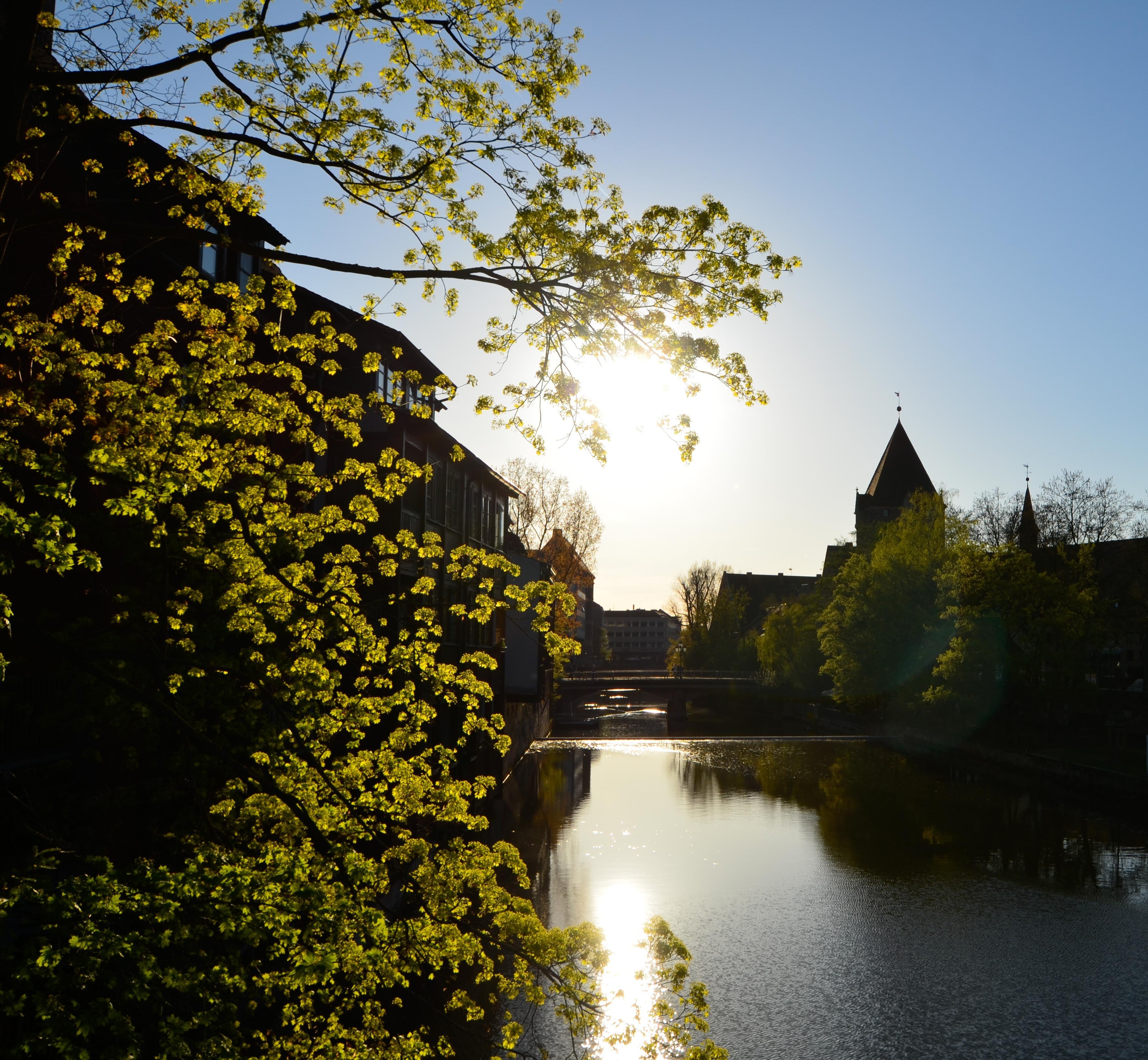 Unter dem Motto ,,Rein ins Grüne - raus in die Stadt" lädt das Bündnis für Biodiversität am Samstag und Sonntag, 4. und 5. Juni 2016, zu Führungen und Mitmach-Aktionen im ganzen Stadtgebiet ein.