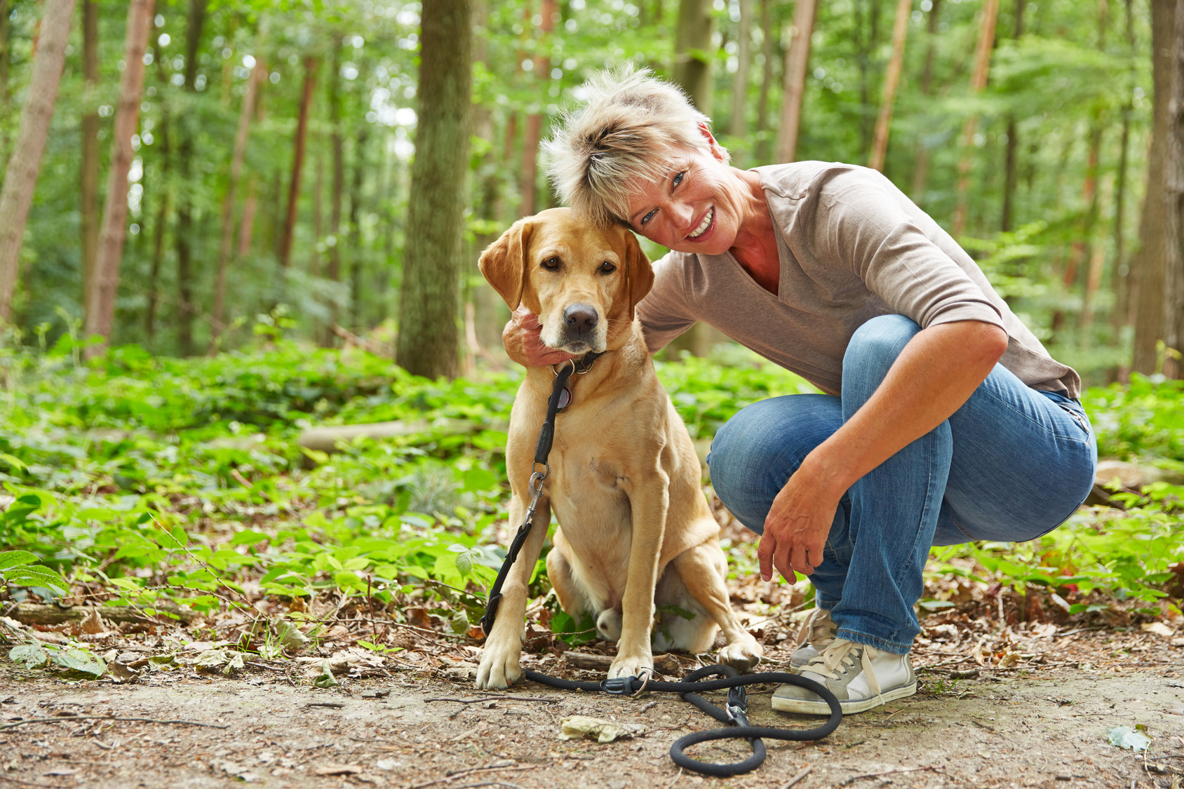 Nicht nur Menschen können unter Arthrose leiden, auch viele Hunde bleiben vor dieser Abnutzungserscheinung der Gelenke nicht verschont.