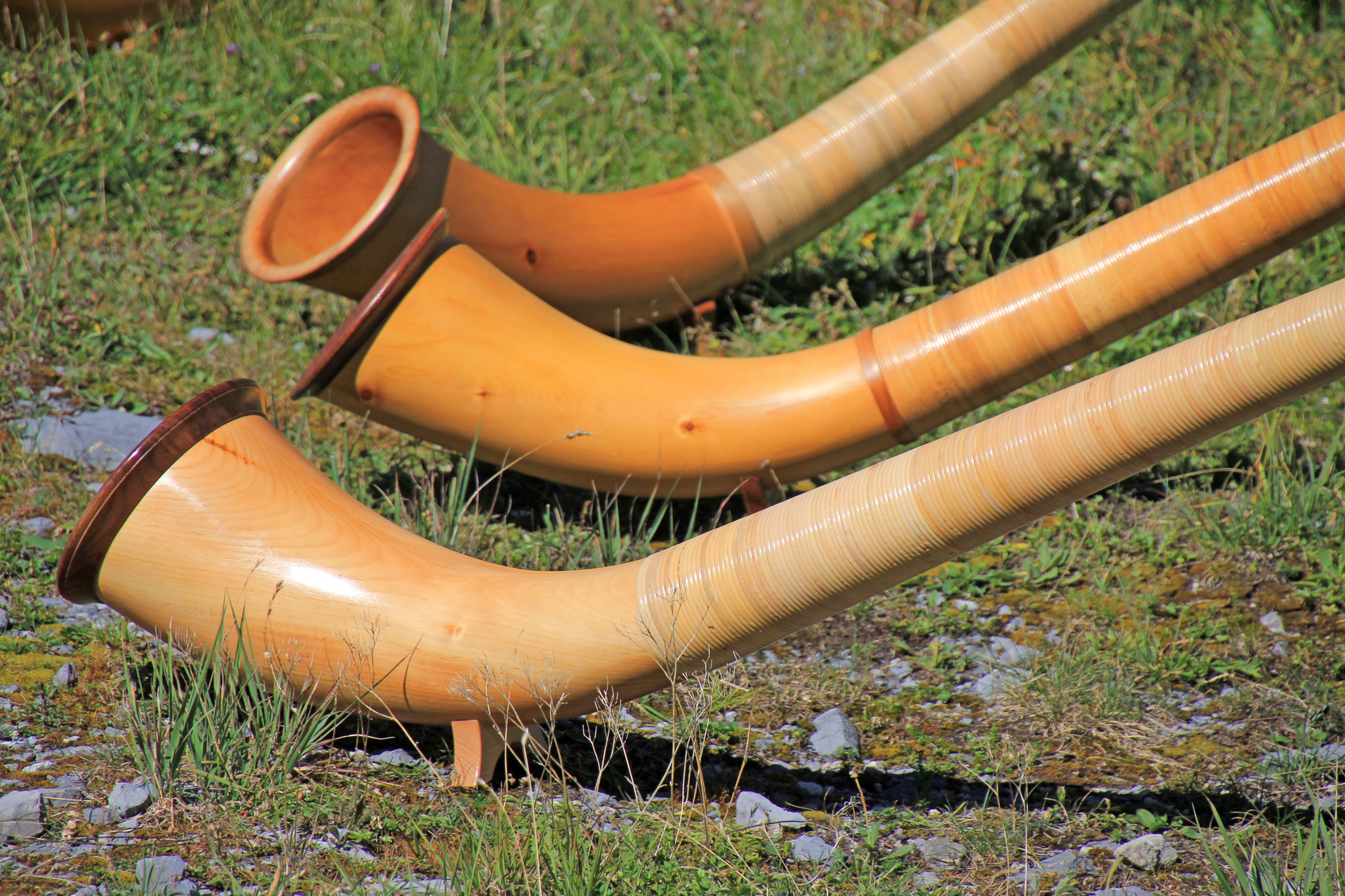 Ein Wochenende mit dem Alphorn für Fortgeschrittene bietet der Nordbayerische Musikbund von 2. bis 4. September in der Bayerischen Musikakademie in Hammelburg an.