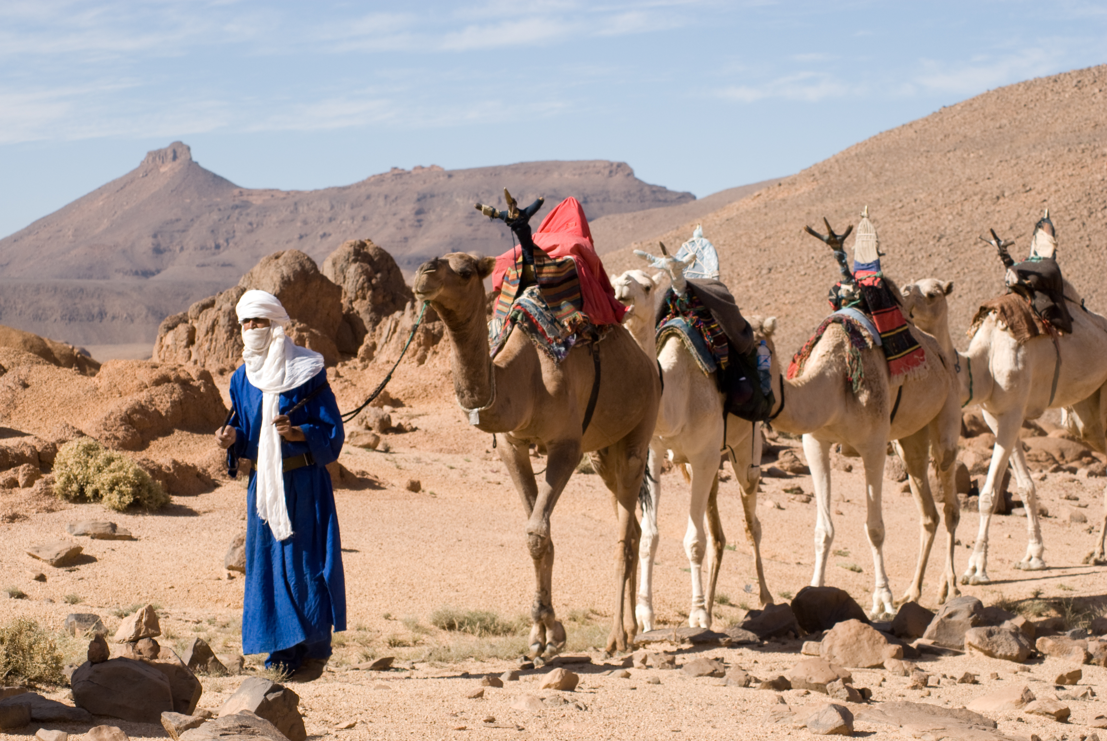 Dromedarkarawane im Ahaggar in Algerien, Foto A.Agada