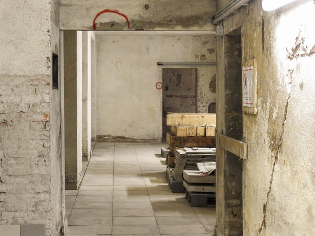 Die Gesamtanlage Zeppelintribüne-/feld soll entsprechend der Leitlinien zum künftigen Umgang der Stadt mit dem ehemaligen Reichsparteitagsgelände baulich gesichert werden. | Foto: Nicole Fuchsbauer