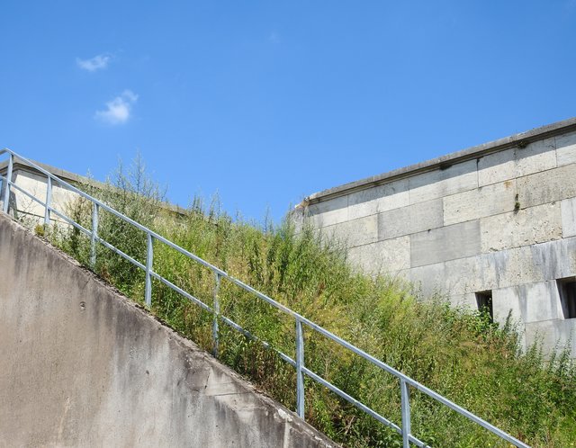 Die Natur hat sich die Wälle weitgehend zurückerobert. | Foto: Nicole Fuchsbauer