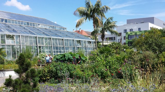 Botanischer Garten
