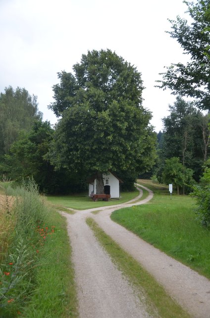 Auf dem Rückweg. (Foto: privat)