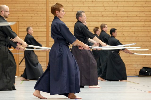 Iaido Sommerseminar 2016