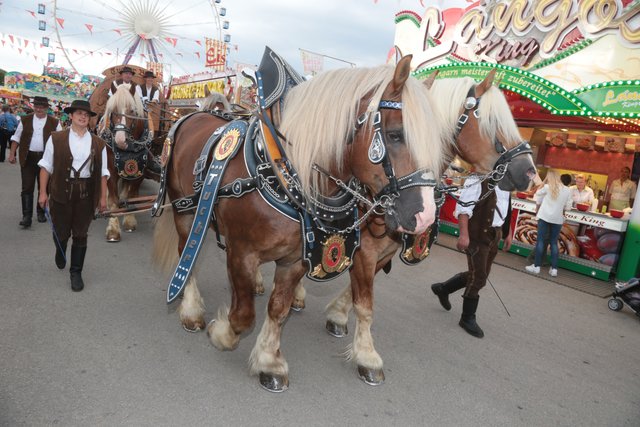Volksfest Nürnberg. | Foto: bayernpress