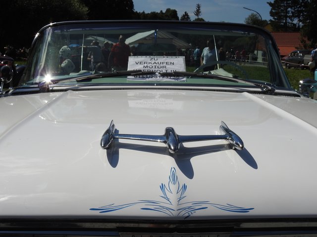 Foto: Nicole Fuchsbauer