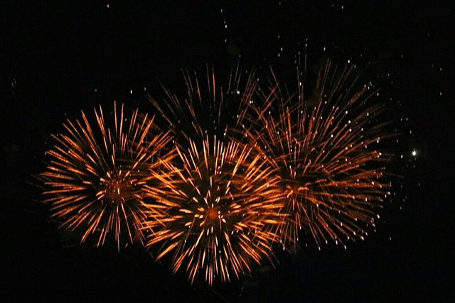 Toller Eindruck vom Musikfeuerwerk "Nacht der Tausend Lichter". | Foto: Gerda Pöll