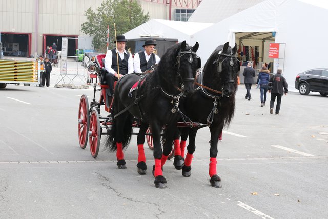 Pressevorbesichtigung Faszination Pferd und Heimtier Messe - 28.10. bis 1. November 2016. | Foto: Udo Dreier