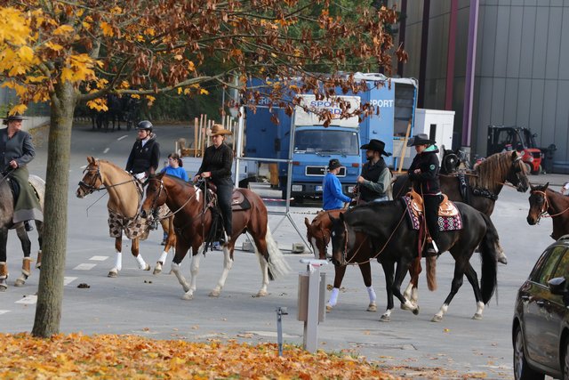 Pressevorbesichtigung Faszination Pferd und Heimtier Messe - 28.10. bis 1. November 2016. | Foto: Udo Dreier