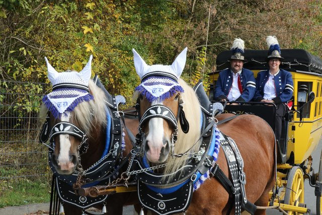 Pressevorbesichtigung Faszination Pferd und Heimtier Messe -28.10. bis 1.November 2016. | Foto: Udo Dreier