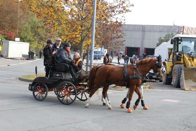 Pressevorbesichtigung Faszination Pferd und Heimtier Messe - 28.10. bis 1. November 2016. | Foto: Udo Dreier