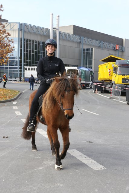 Pressevorbesichtigung Faszination Pferd und Heimtier Messe -28.10. bis 1. November 2016. | Foto: Udo Dreier