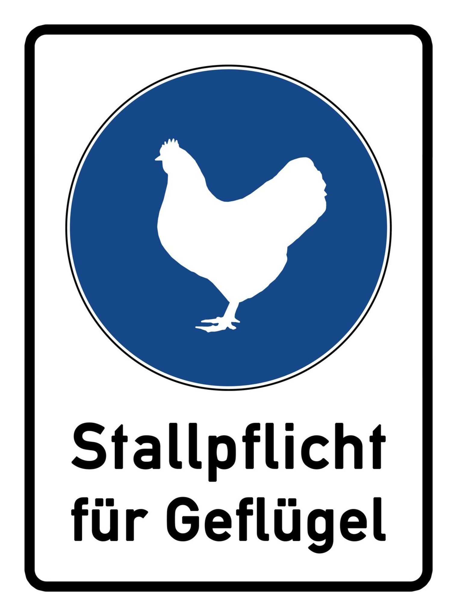 Vogelgrippe Noch kein Ergebnis zu den beiden Tieren vom Wöhrder See
