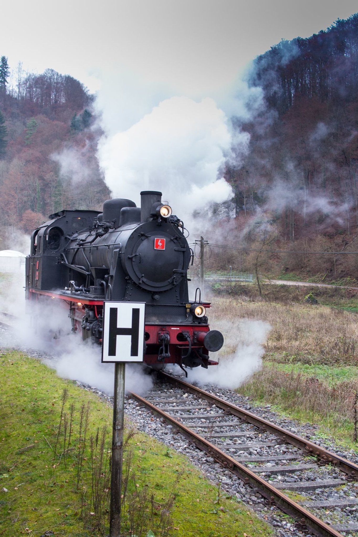 Dampfbahn soll zum Denkmal werden Forchheim