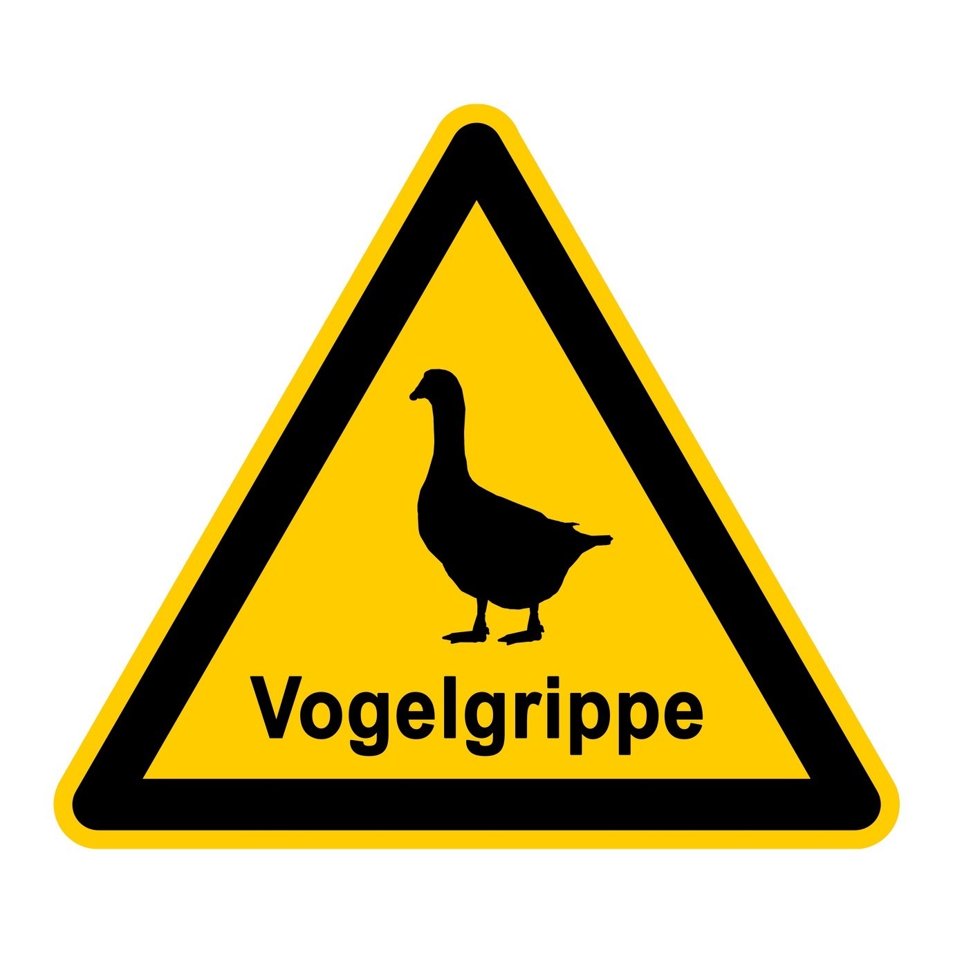 Geflügelpest: Der Vogelgrippevirus erreicht den Landkreis Erlangen-Höchstadt.