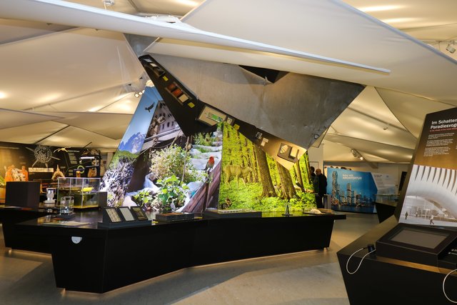 Die Ausstellung „Natur trifft Architektur“ mit vielen Exponaten zur Baubionik ist noch bis Oktober im Bionicum zu sehen. | Foto: Nicole Fuchsbauer