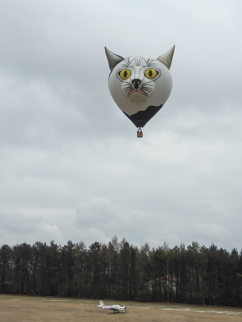 Frankenballoncup 2017. | Foto: Nicole Fuchsbauer