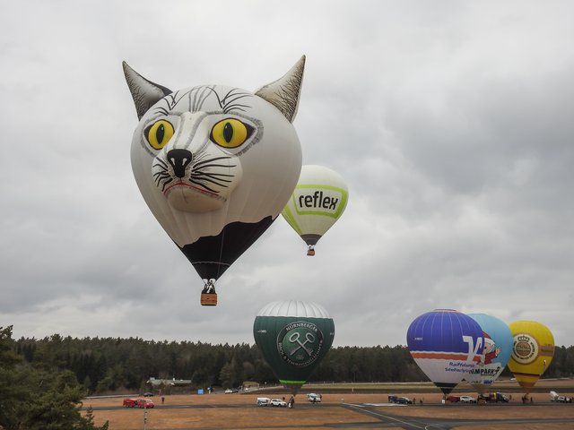 Frankenballoncup 2017. | Foto: Nicole Fuchsbauer