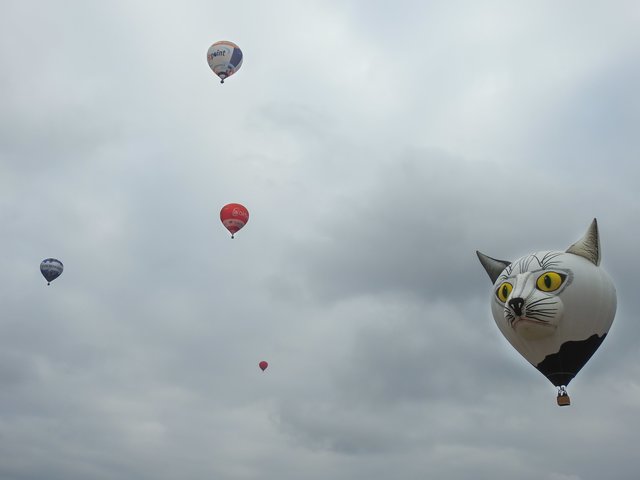 Frankenballoncup 2017. | Foto: Nicole Fuchsbauer