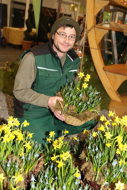 Gärtner Simon Schnell aus Triesdorf pflanzt Osterglocken. | Foto: Udo Dreier