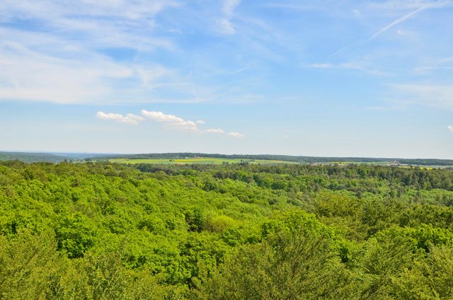 Blick vom Baumwipfelpfad Ebrach über den Steigerwald.