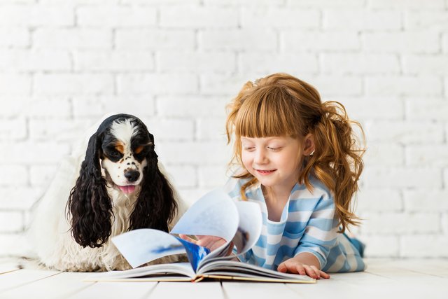 Mit Hund als Zuhörer fällt vielen Kindern das Vorlesen leichter.