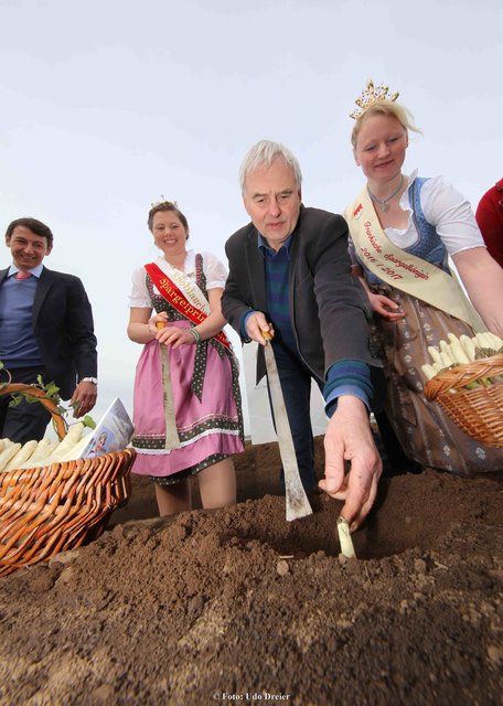 BBV-Kreisobmann Peter Höfler, Spargelpinzessin Veronika Höfler, Dr. Peter Pluschke,  Spargelkönigin Anna Hennicke  beim Spargelstechen (v.l.). | Foto: Udo Dreier