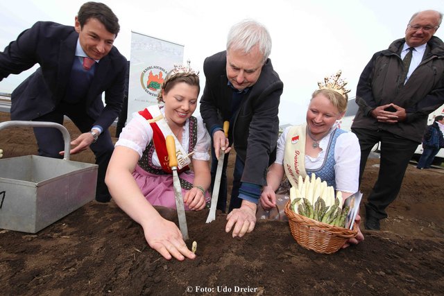 BBV-Kreisobmann Peter Höfler, Spargelpinzessin Veronika Höfler, Dr. Peter Pluschke,  Spargelkönigin Anna Hennicke und Landwirtschaftsdirektor Horst Krehn beim Spargelstechen (v.l.). | Foto: Udo Dreier