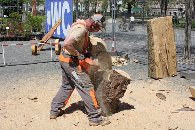Aus klobigen Holzstücken entstehen filigrane Kunstwerke. Foto: Ebersberger