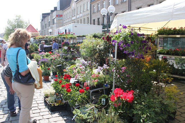 Beim Gartenmarkt bekommen Besucher einen Überblick über neue Trends und Pflanzen für Terrasse und Garten. Foto. Ebersberger