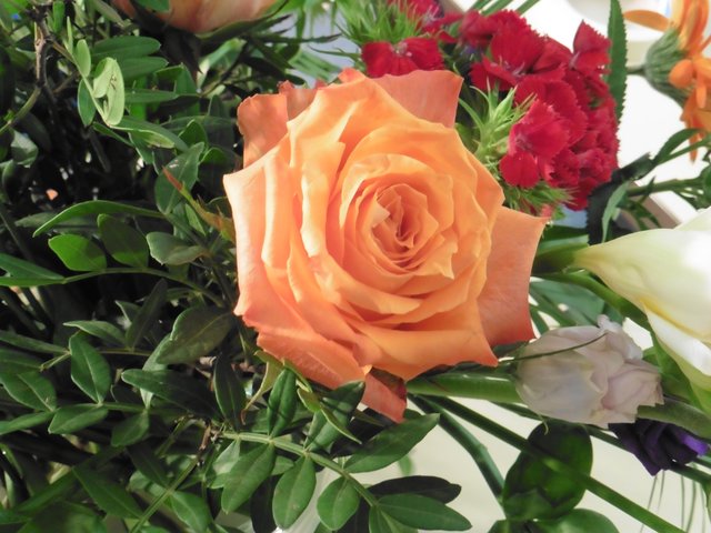 Blumenstauß von Werner zur Malvorlage für meine SchülerInnen