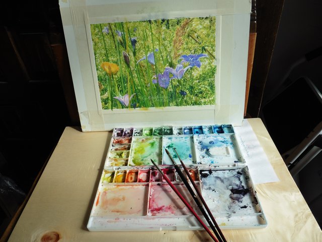 Wiese Renzenhof, Aquarell von Gunter Kaufmann