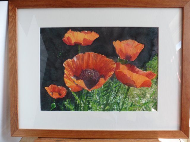 Klatschmohn bei Himmelgarten, Aquarell von Gunter Kaufmann, gemalt mit Daniel Smith Farben, auf Fabiano, 300 g/qm, Format 23x30,5 cm, Rahmengröße 30x40 cm.