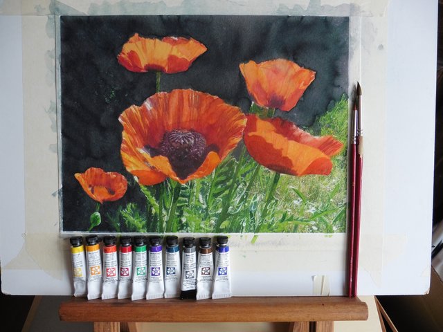 Klatschmohn bei Himmelgarten, Aquarell von Gunter Kaufmann, gemalt mit Daniel Smith Farben, auf Fabiano, 300 g/qm, Format 23x30,5 cm